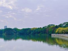 -海珠湖公园