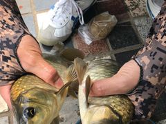 -酷鱼垂钓CLUB(朝阳区博大路店 )