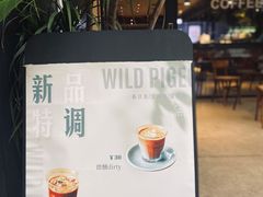 -野鸽子咖啡(航空路店)