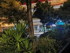 -丽江三义国际机场