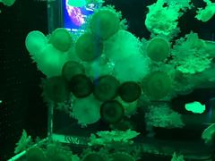 -多彩贵州城极地海洋世界