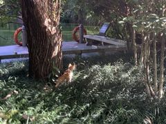 -荔香公园