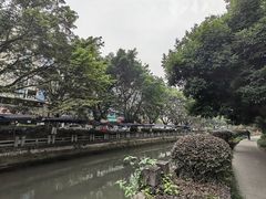 -桂湖森林公园