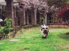 -爱侣宠医·鹦鹉专科·小型哺乳类·异宠专科(灵石路店)