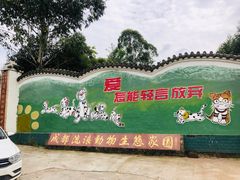 -成都爱之家动物救助中心