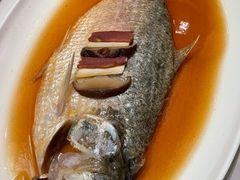 -蝶园·装修中(BFC外滩金融中心店)