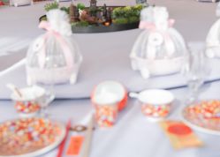 -卡卡喜糖伴手礼·商务礼宝宝礼·婚礼用品