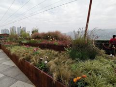 -重庆市江北嘴中央商务区中央公园