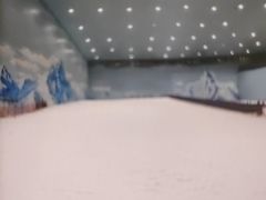 -哈尔滨热雪奇迹