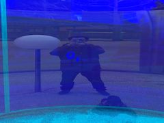 -金泽21世纪美术馆