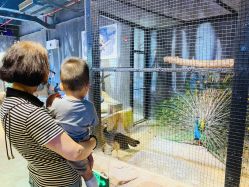 -酷嗒动物文化乐园(cutezoo西溪乐天城店)