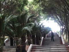 -重庆平顶山公园