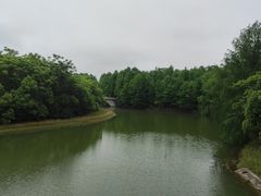 -上海海湾国家森林公园