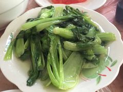 -南汇老顾农家乐采摘大团水蜜桃采摘店