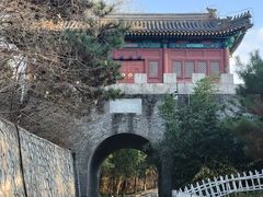 -云岗森林公园