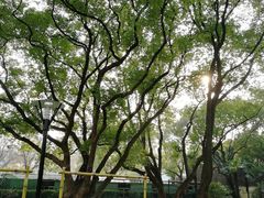-徐家汇源景区-衡山公园