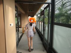 -金隅凤山酒店