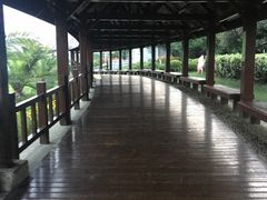 -碧海金沙