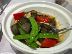 -御生皇·新天然居·顺德鱼生·顺德菜·广式早茶