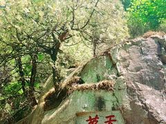 -泰山风景名胜区