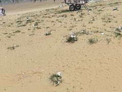 -青澳湾北回归线广场