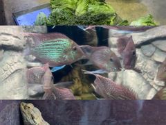 -南昌融创海世界