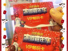 -沈阳奥体冰雪嘉年华