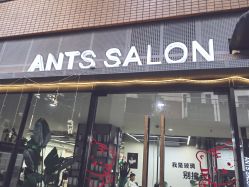 -蚂蚁造型俱乐部