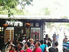 -金盆阿嬷香菇茶叶蛋(玄光店)
