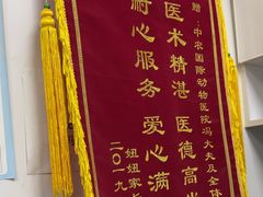 -中农国际动物医院24小时·猫科·骨科·急重症中心