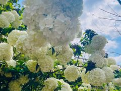 -大龙山(地铁站)