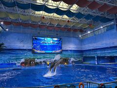 -多彩贵州城极地海洋世界