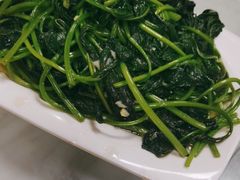 -麻奢鸽农庄·梦里水乡