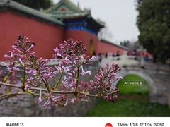 -天坛公园