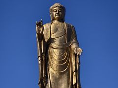 -中原大佛景区