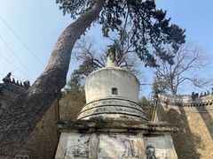 -潭柘寺景区