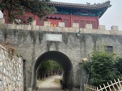 -云岗森林公园
