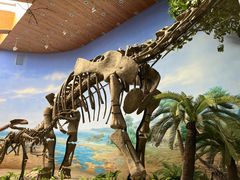 -延庆地质公园博物馆