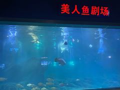 -福州罗源湾海洋世界旅游区