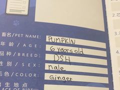-申普宠物医院·心脏介入·心血管微创(总院)