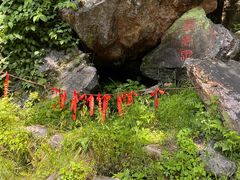 -大连天门山国家森林公园