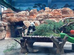 -石家庄市动物园