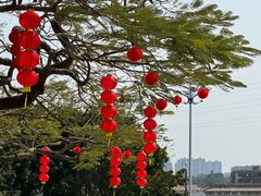 -梵天禅寺