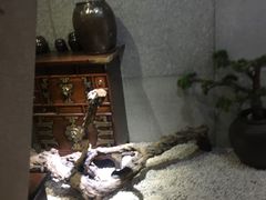 -纽斯桑拿会所(天山店)