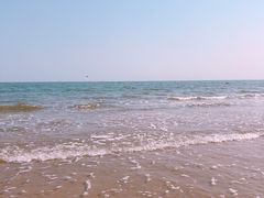 -日照海滨国家森林公园