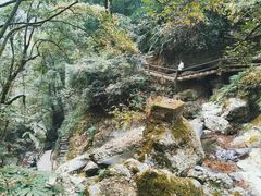 -青城山
