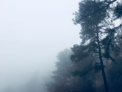 -敬亭山风景名胜区