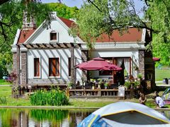 -上海共青森林公园