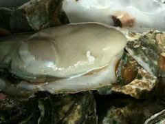 -邹记·美食(斗门店)