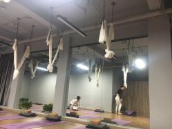 -静园瑜伽